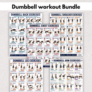 May include: A dumbbell workout bundle consisting of five instructional posters titled Dumbbell Back Exercises, Dumbbell Shoulder Exercises, Dumbbell Chest Exercises, Dumbbell Leg Exercises, and Dumbbell Arm Exercises, each featuring numbered illustrations.