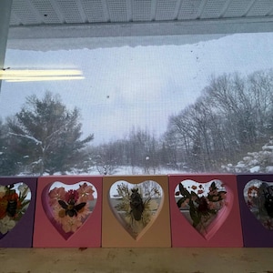 May include: Five heart-shaped shadow boxes in shades of purple, pink, and peach, each containing a preserved insect and dried flowers. The boxes are arranged in front of a window with a snowy outdoor scene.