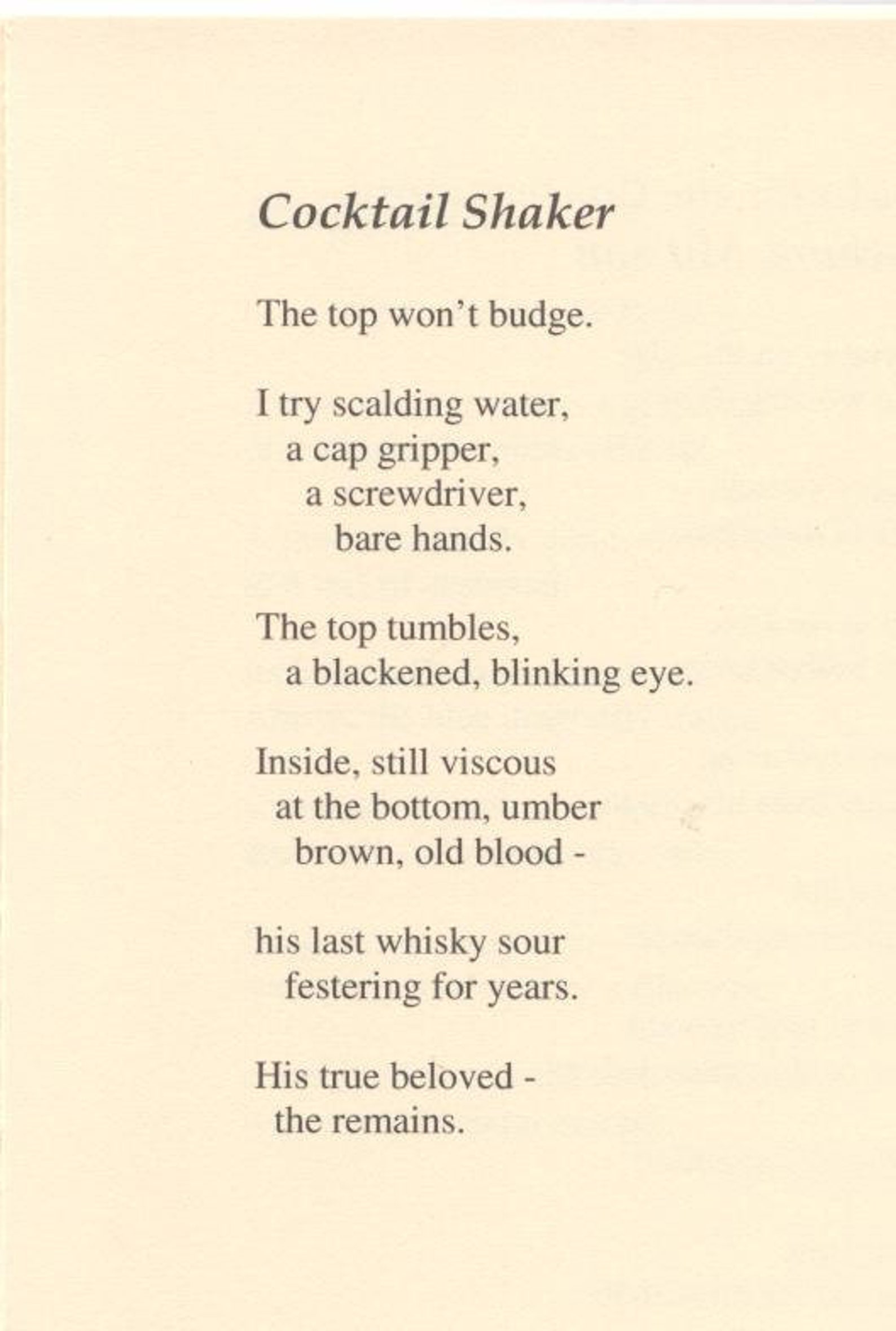 Cocktail Shaker by Lee Firestone Dunne Etsy