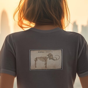 May include: Gray t-shirt with a rectangular graphic of an elephant skeleton labeled "ELEPHAS antiquus" on the back. The shirt is a muted gray color and has short sleeves. The background shows a cityscape at sunset.