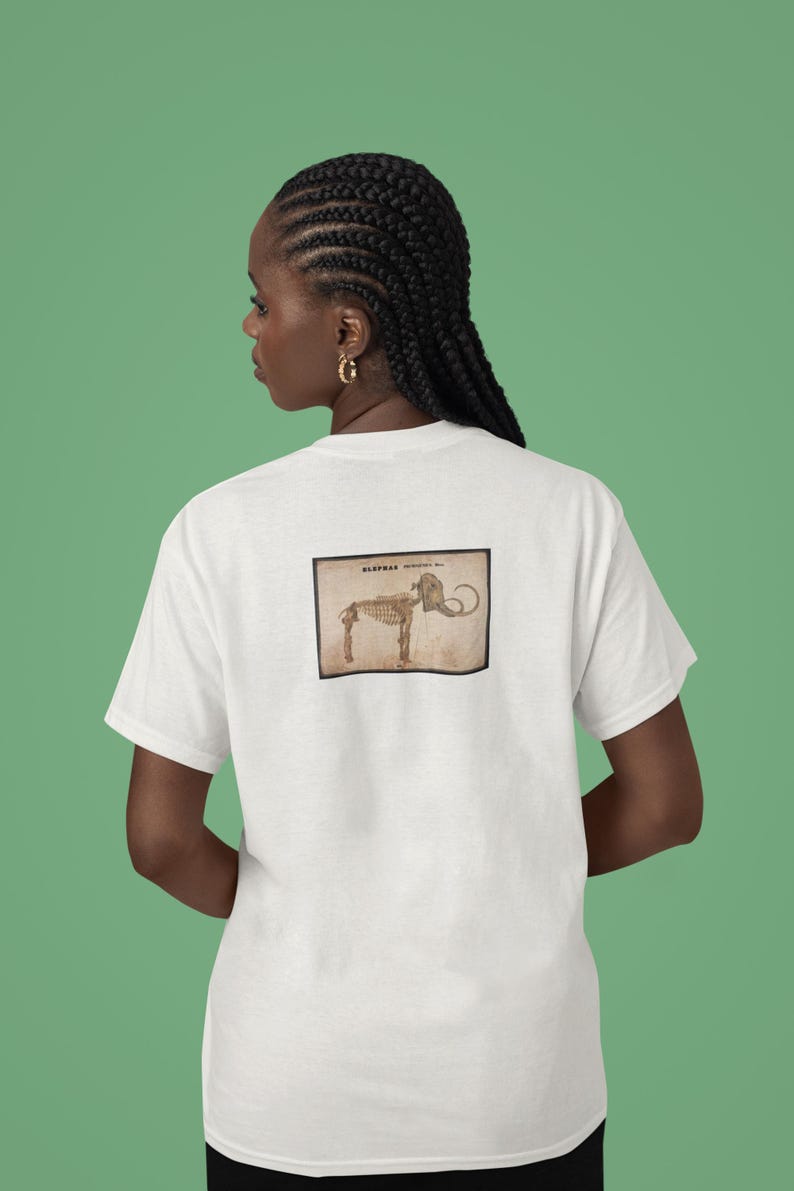 May include: White t-shirt featuring a vintage-style illustration of an elephant skeleton. The image is in a rectangular frame on the back of the shirt. The shirt is plain and has short sleeves. The background is a solid green color.