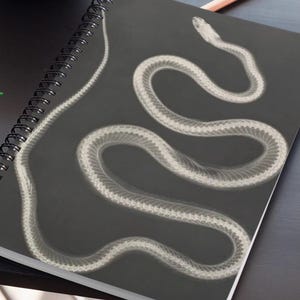 Puede incluir: Un cuaderno de espiral con una cubierta gris oscuro que presenta una ilustración de rayos X blanca y detallada de un esqueleto de serpiente. La estructura ósea muestra el cráneo y las vértebras en un patrón ondulado continuo.