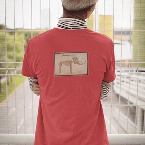 Vintage Mammoth Skeleton T-Shirt | Orra White Hitchcock Paleontology Graphic Tee image 10