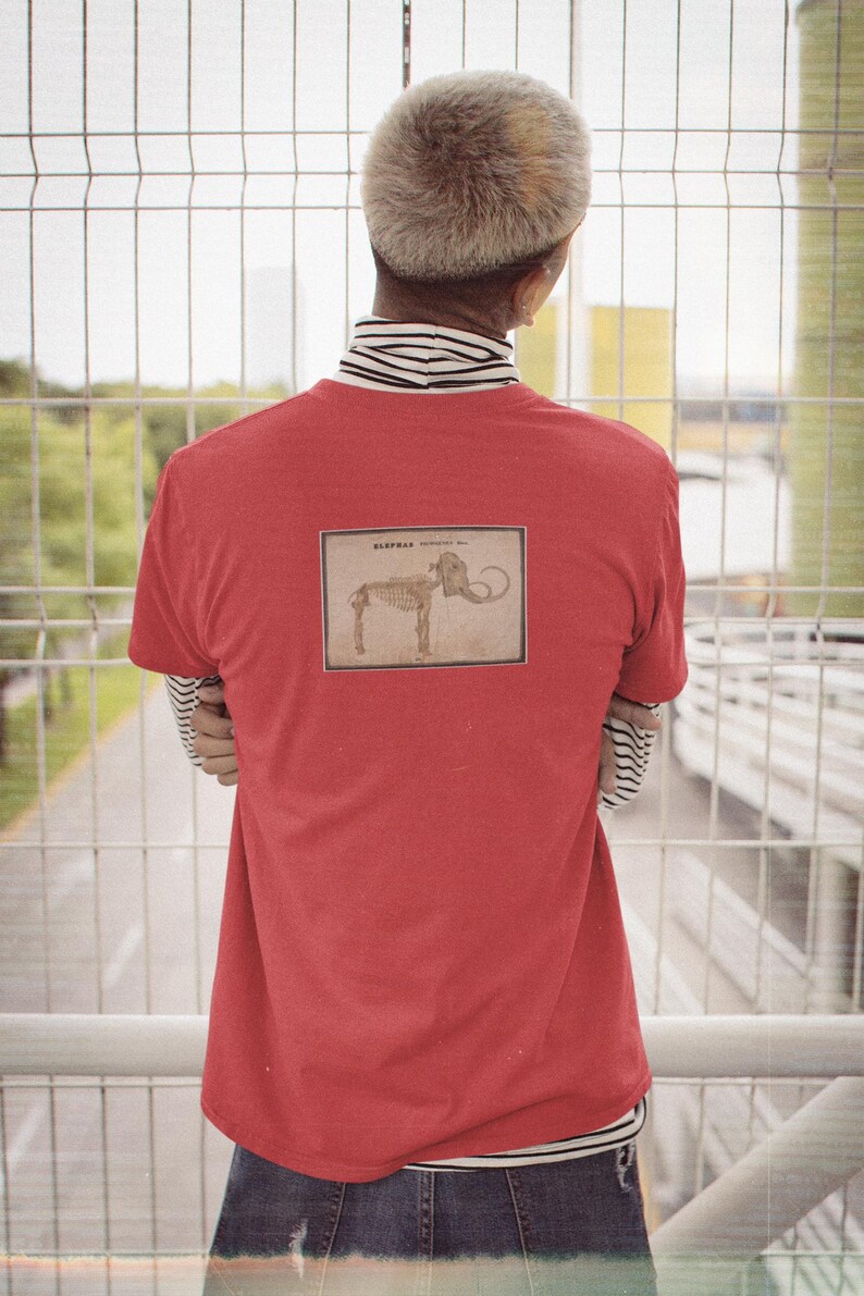 Vintage Mammoth Skeleton T-Shirt | Orra White Hitchcock Paleontology Graphic Tee image 10