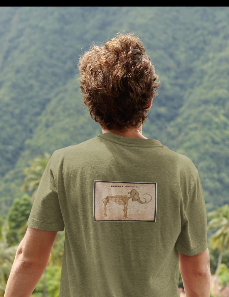 May include: Olive green t-shirt featuring a vintage illustration of an elephant skeleton within a rectangular frame. The text "ELEPHAS" is visible above the illustration. The shirt is made of a soft, comfortable material.