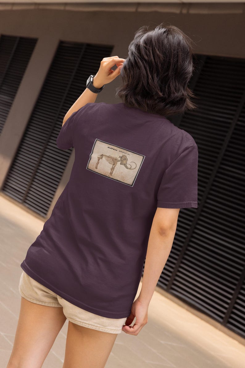 Vintage Mammoth Skeleton T-Shirt | Orra White Hitchcock Paleontology Graphic Tee image 11