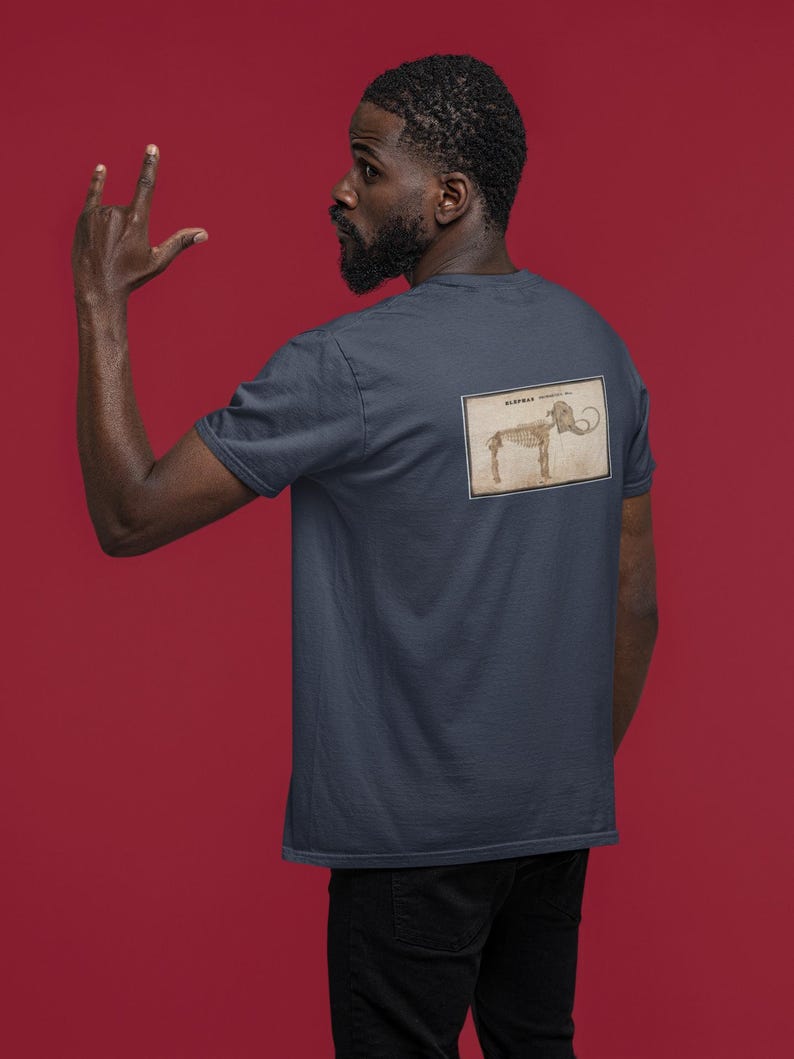 Vintage Mammoth Skeleton T-Shirt | Orra White Hitchcock Paleontology Graphic Tee image 9