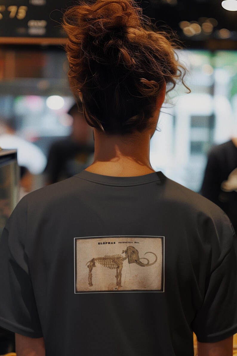 May include: Dark gray t-shirt featuring a vintage-style illustration of an elephant skeleton. The illustration is in a rectangular frame and includes the word "ELEPHAS". The shirt is a crew neck style.