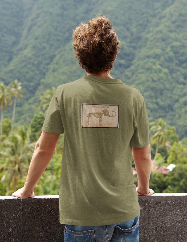 May include: Olive green t-shirt with a rectangular graphic of a mammoth skeleton on the back. The graphic is in a vintage style with brown and beige tones. The person is wearing blue jeans and is standing outside.