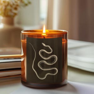 Vintage Snake X-Ray Candle | Josef Maria Eder Radiology Art, Amber Jar