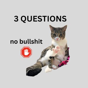 Könnte beinhalten: Eine getigerte Katze mit weißen Abzeichen sitzt mit erhobener Pfote. Das Bild enthält den Text "3 QUESTIONS" darüber und "no bullshit" darunter. Ein rotes Stoppschild mit weißer Hand ist ebenfalls vorhanden.