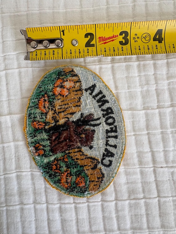 Patch California state patch. Bear in a tree - image 2