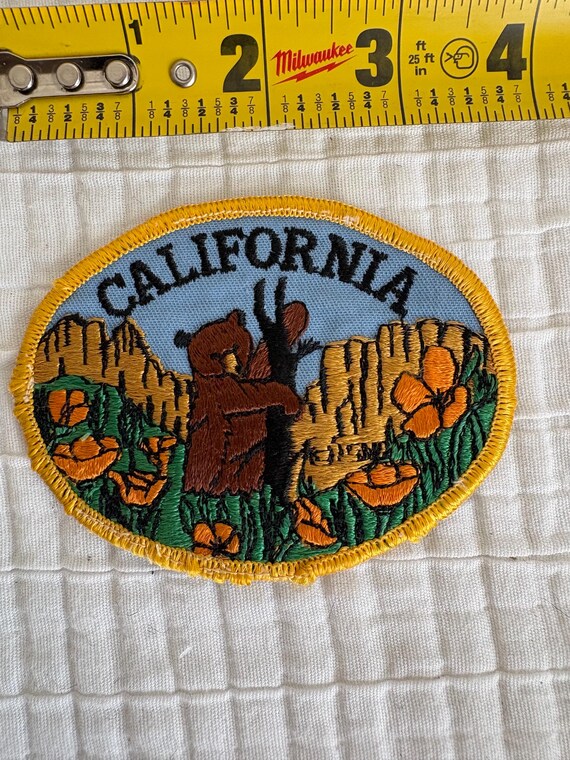 Patch California state patch. Bear in a tree - image 1