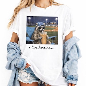 Racoon rolig bollplan mörk skjorta endast baseboll mamma stil PNG, softboll Clipart, resor baseboll softbollturnering, softboll mamma DTG