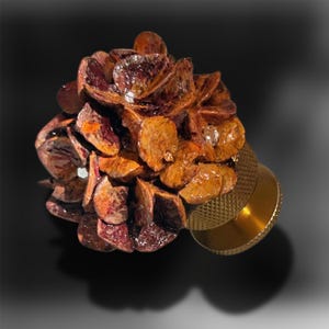 May include: A decorative cabinet knob featuring a cluster of layered, glossy, dark brown and amber-toned organic petal-like shapes attached to a cylindrical, textured, metallic gold-colored base with a knurled edge for grip and installation.