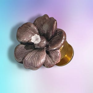 May include: A decorative knob featuring a dark brown, glossy, five-petaled flower shape with a small, translucent white center accent. The flower is mounted on a circular, textured, metallic gold-toned base that extends from the back.