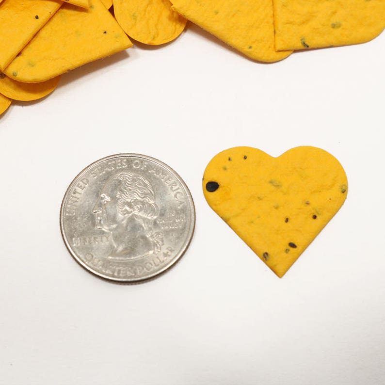 Baby Shower Favors 50-1 Bumblebee Gold Plantable Seed Paper Confetti Hearts Gifts Bridal Shower Favors Unique Wedding Favors Idea