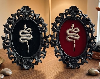 Spécimen de squelette de serpent encadré | Art osseux éthique | Décor universitaire sombre | Curiosités et curiosités.