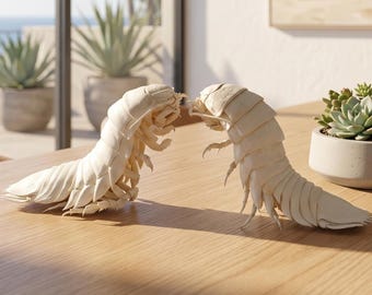 Collection de vrais spécimens d'isopodes géants | Taxidermie de créatures des grands fonds | 4 variantes de pose | Curiosités | Décor universitaire sombre | Biologie marine.
