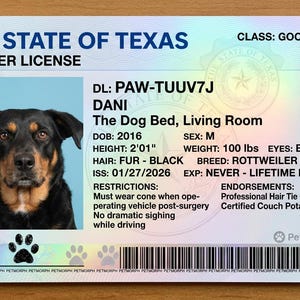 May include: A novelty Texas driver's license featuring a Rottweiler dog named Dani. The license includes details like height 2'01", weight 100 lbs, and a lifetime expiration. Endorsements include "Professional Hair Tie Collector".