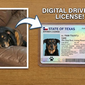 May include: A digital driver's license from the State of Texas for a dog named Dani. The license includes a photo of the dog, details like height (2'01"), weight (100 lbs), and breed (Rottweiler). The license also has the text "DIGITAL DRIVER'S LICENSE!"
