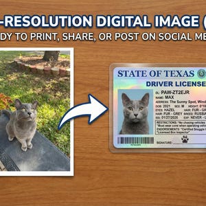 May include: A digital image featuring a gray cat and a Texas driver's license with the cat's photo. The license includes details like name, address, and restrictions. The image also has the text: "HIGH-RESOLUTION DIGITAL IMAGE (PNG) READY TO PRINT, SHARE, OR POST ON SOCIAL MEDIA."
