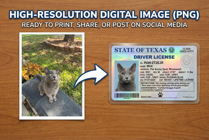 May include: A digital image featuring a gray cat and a Texas driver's license with the cat's photo. The license includes details like name, address, and restrictions. The image also has the text: "HIGH-RESOLUTION DIGITAL IMAGE (PNG) READY TO PRINT, SHARE, OR POST ON SOCIAL MEDIA."