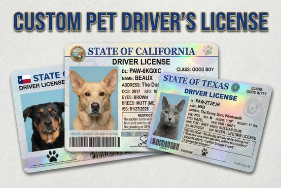 Custom Pet Driver's License - Personalized Dog Cat ID Card - Funny Pet Gift - Digital Download - Pet Mom Dad Gift - Pet Memorial Keepsake