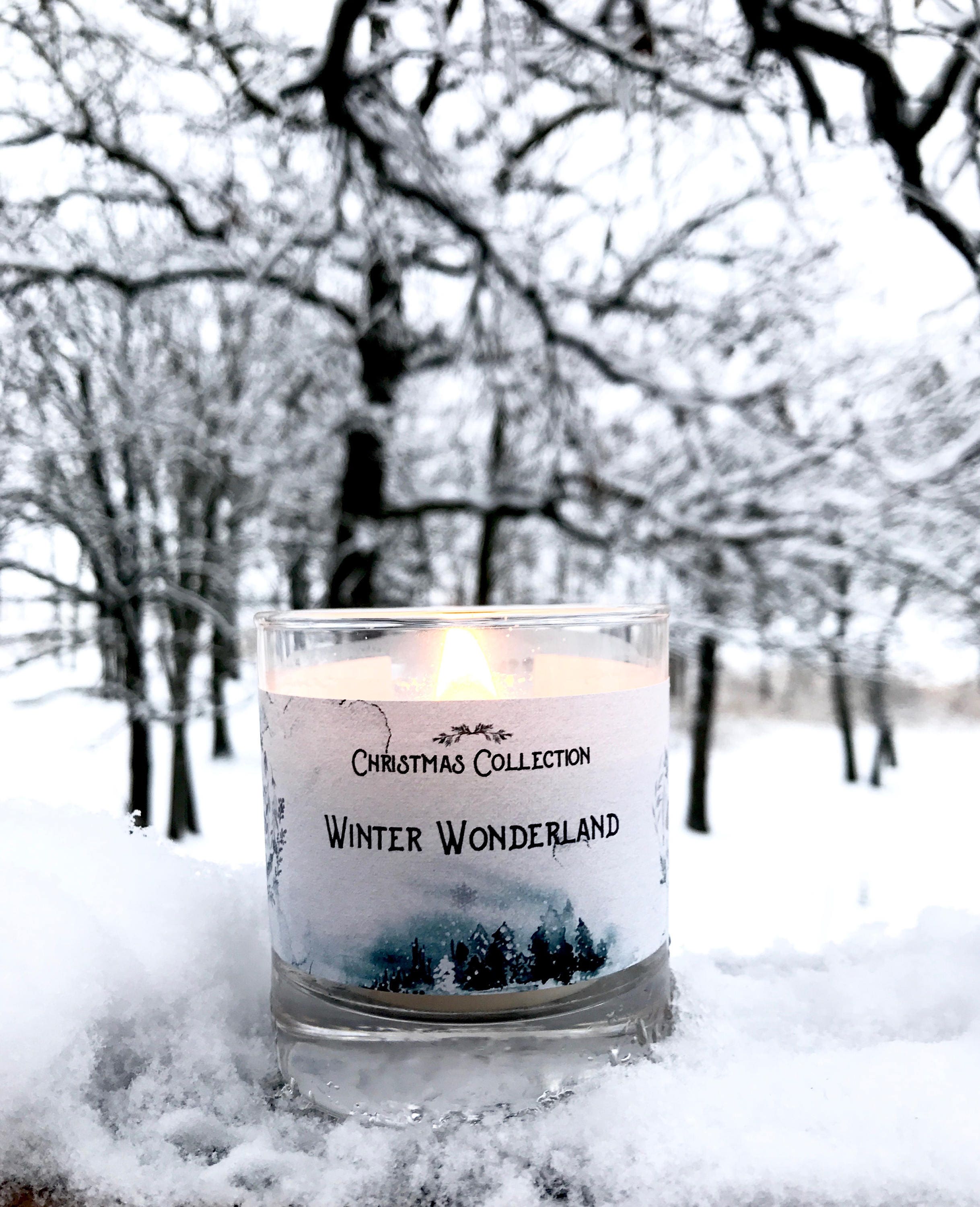 Winter Wonderland Christmas Collection Minnesota Made Etsy