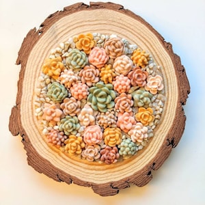 Faux succulent wall hanging - spring palette with white rocks