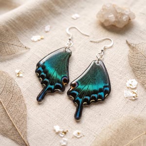 May include: A pair of dangle earrings featuring iridescent butterfly wing pendants in shades of deep teal, emerald green, and black. The pendants are suspended from silver-toned metal hooks, showcasing a glossy finish and intricate wing vein patterns.