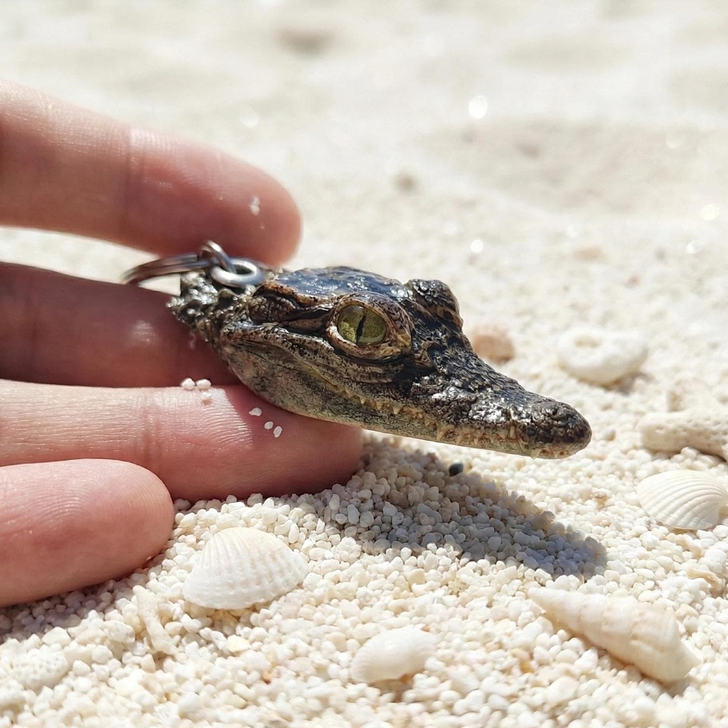 Crocodile teeth - Etsy 日本
