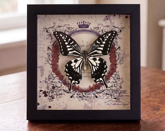 Real Butterfly Specimen in Frame | Vintage Crown Motif Decoration | Tabletop & Wall Art | Wooden Frame with Real Butterfly Specimen