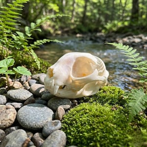 May include: A white ceramic mug with a black handle and the text "But First, Coffee" in a black, bold font. The mug is sitting on a wooden surface. The mug is 4 inches tall.