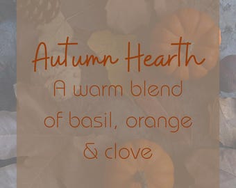 Autumn Hearth Laundry Soap | Limited Warm Fall Scent | Handmade Laundry Powder | Natural small batch