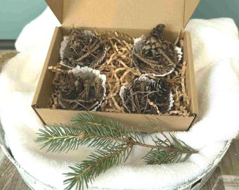Rustic Pine Needle & Pinecone Firestarters | Natural Wax Camping Starter