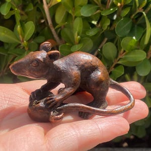 May include: A detailed bronze sculpture of a rat, posed with a smaller object. The rat is brown with visible details, including its ears, whiskers, and tail. The sculpture is held in a hand against a backdrop of green foliage.