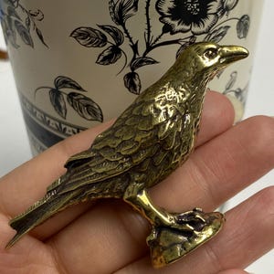 Könnte beinhalten: Eine detaillierte Rabenfigur aus Messing mit strukturierten Federn und einer hockenden Haltung. Der Vogel ist goldfarben, mit einem detaillierten Schnabel und Auge. Der Rabe wird in einer Hand gehalten, mit einem floralen Hintergrund.