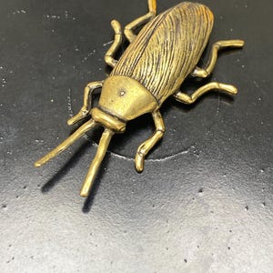 May include: A detailed brass-colored insect figurine with six legs, antennae, and a segmented body. The metallic sculpture is set against a dark background. The insect is a cockroach.