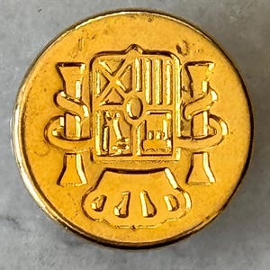 Juego de botones vintage dorados estilo militar: 4 piezas (2 cm/0,78"), diseño de escudo en relieve