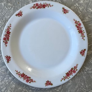 Könnte beinhalten: Weißer Keramikteller mit einem floralen Rosenmuster in Rosa und Grün. Die Rosen sind in Clustern und am Rand des Tellers angeordnet. Der Teller hat einen leicht erhöhten Rand.