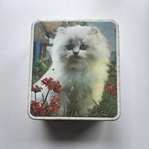 May include: A rectangular metal storage tin featuring a printed image of a fluffy white kitten sitting in a garden with green grass and clusters of small red flowers. The kitten has large dark eyes and long white fur. The tin has a white border.