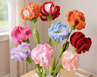 19 Colors Handmade Crochet Carnation Flower – Customizable Eternal Bloom, Home Decor Gift (Mother's Day Gift)