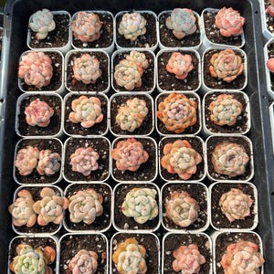 May include: A distressed wooden sign with the words "Welcome to our home" in white lettering. The sign has a rustic finish, ideal for a front porch or hallway, creating a welcoming atmosphere.