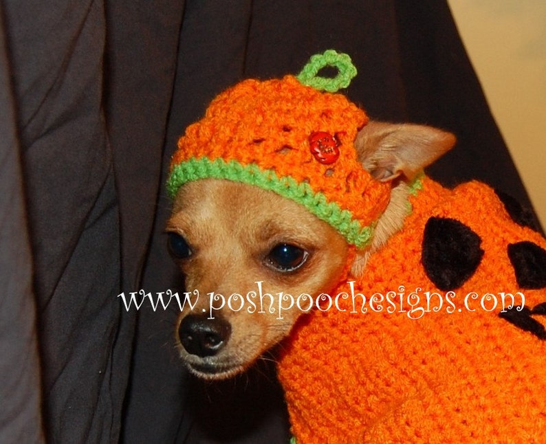 Instant Download Crochet Patterns Pumpkin Hat for Dogs 3 sizes S-L image 3