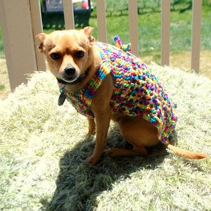 Instant Download Crochet Pattern Sunny Day Dog Sweater XS, S and Medium ...
