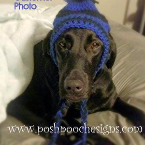 Instant Download Crochet Pattern Large Dog Striped Earflap Dog Hat Big Dogs 31 100 Pound dog image 2