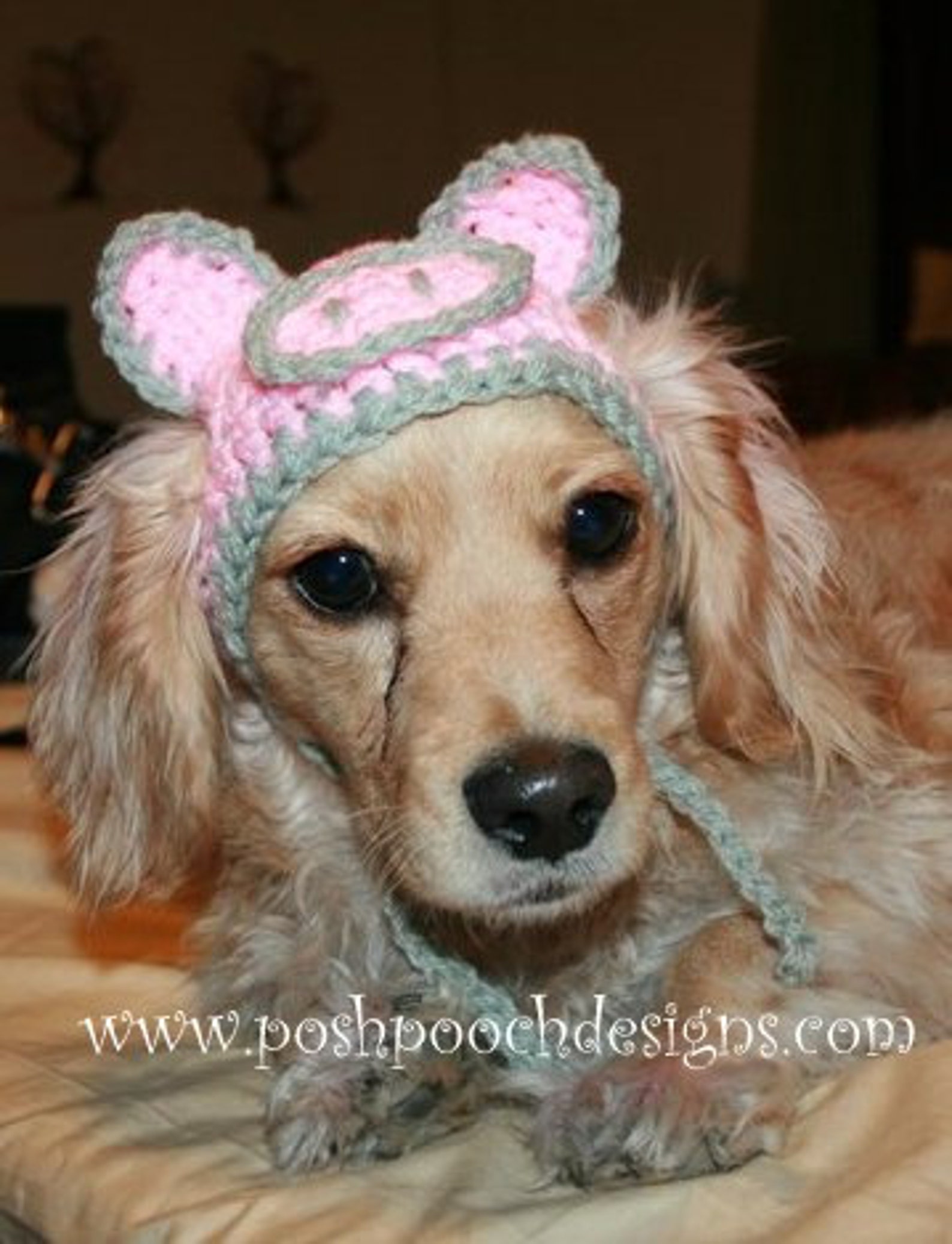 6 Dog Beanie Hat Styles in One Set 1 Instant Download Etsy