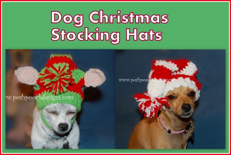 Dog top stocking cap