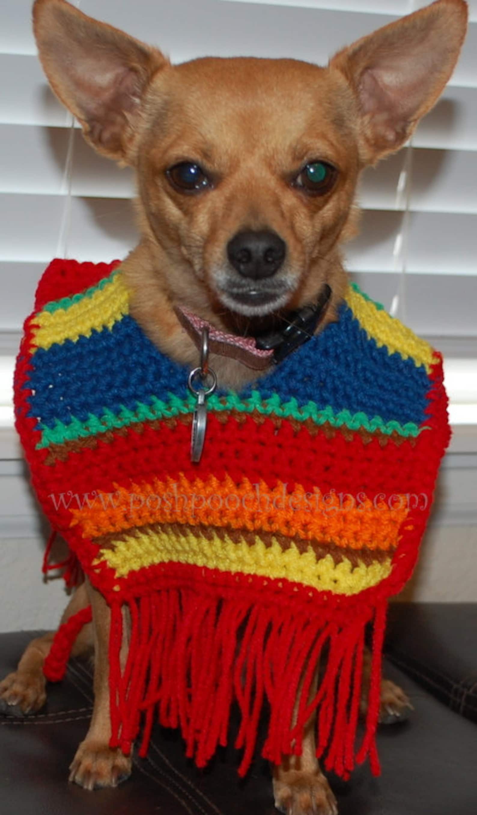 Instant Download Crochet Pattern Dog Sombrero and Poncho Set Etsy